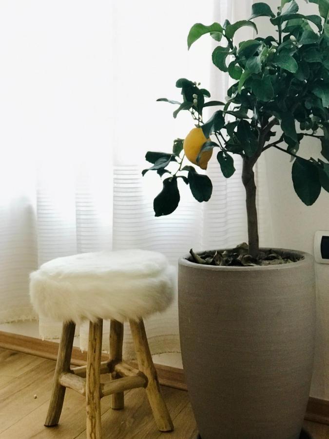 Foleza - Bed And Breakfast วญอเรอ ภายนอก รูปภาพ
